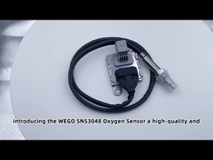 5WK96694C 12V Nitrogen Oxide NOX Sensor Fits Untuk Euro Truck OEM 2296800